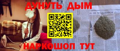 дмт Бийск