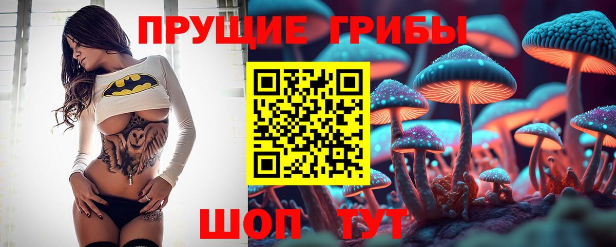 Галлюциногенные грибы Psilocybine cubensis  как найти закладки  Камень-на-Оби  Вход с VPN 